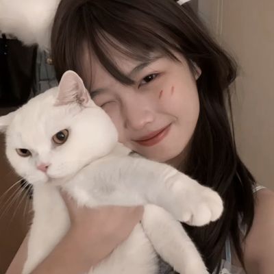 魔装无双小米版下载